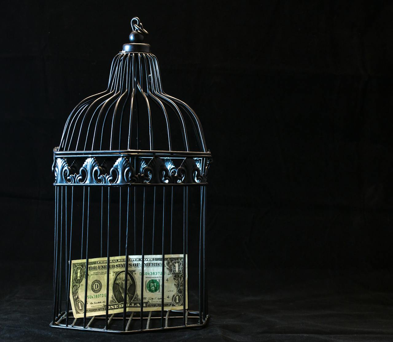A dollar bill imprisoned in a decorative cage symbolizing financial confinement.